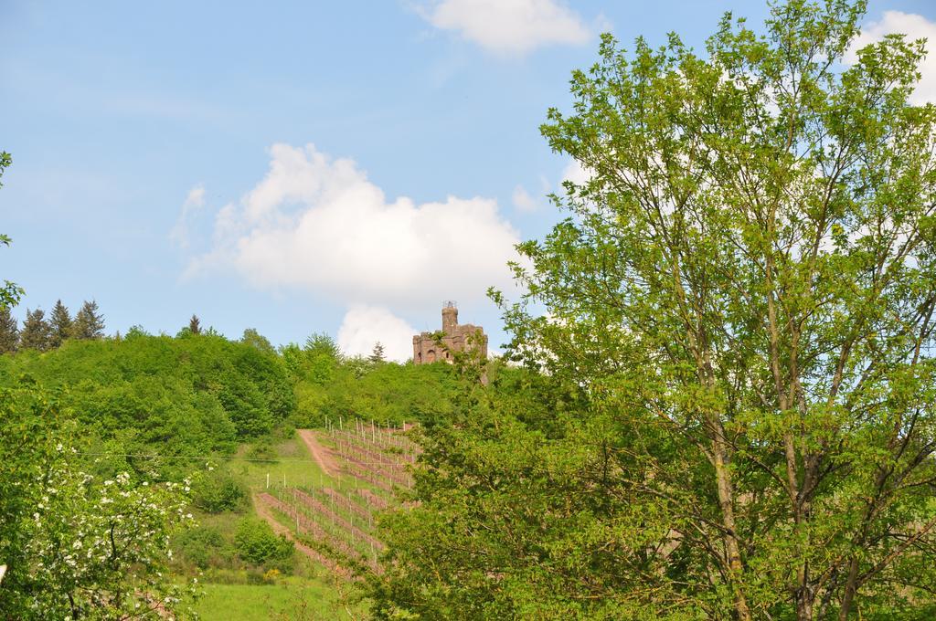 Schroeders Wein-Style-Hotel Trier Exterior foto