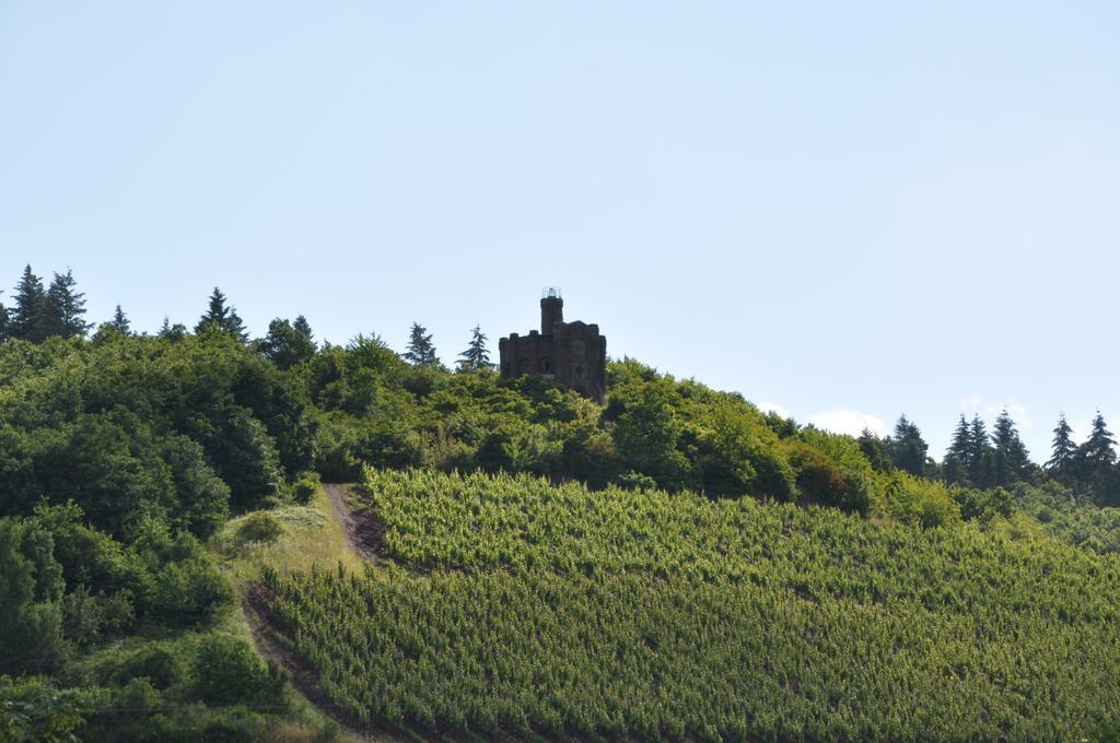 Schroeders Wein-Style-Hotel Trier Exterior foto