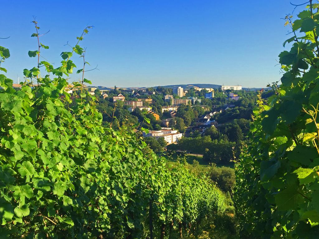 Schroeders Wein-Style-Hotel Trier Exterior foto